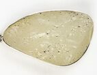 Libyan Desert Glass Pendant ( grams) - Meteorite Impactite #205667-1